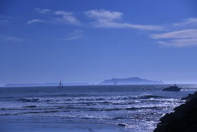 DSC_0865 (Large).JPG